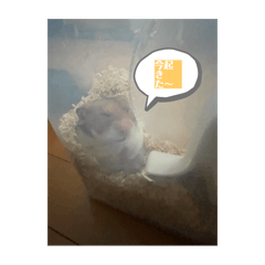 ryo_20250319122824