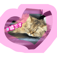 arisa_20250319121904