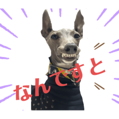 b ills_20250319124604