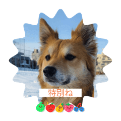 yuka_20250319124253