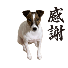 Uchi no wanko STAMP