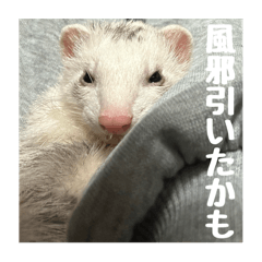 Yuina_20250318220016