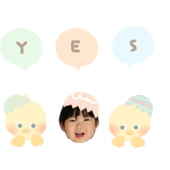 tipupu_20250319234854