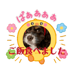 yuta_20250319204520