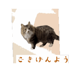 Aru_20250320015635