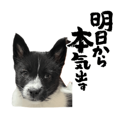 Yuki_20250319151406