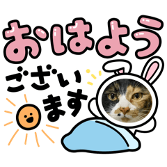 yuka_20250319153919