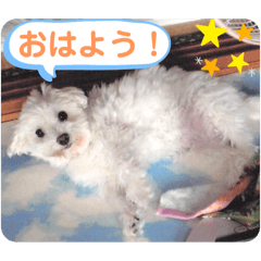 March-chan stamp