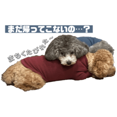 uma_20250319154312