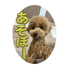 Himawari_20250319204127