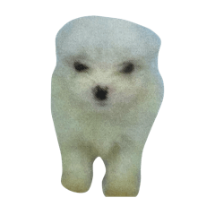 y_20250319204329