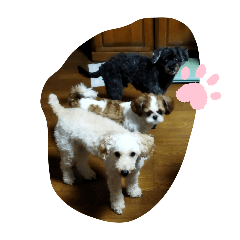Junko_20250319204136
