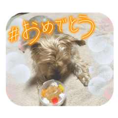 kelly_20250319205713