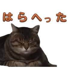 Risa_20250319181017