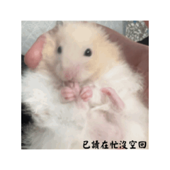鼠生還要被迫打零工3.5