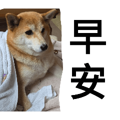 辣雞日常碎片