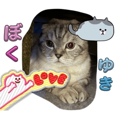 Yukichantantan