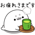 悟りぎみなアザラシ