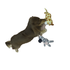 ran_20250319224913