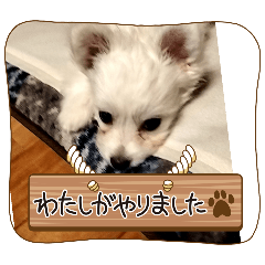 ran_20250319164702