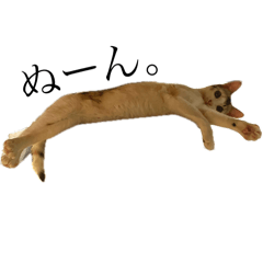 pei_20250319231013
