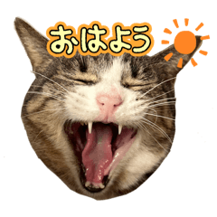 sun_20250319231150
