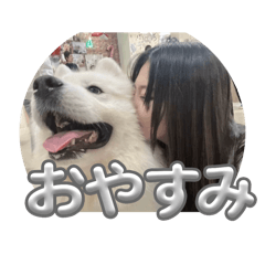 Haru_20250320033503