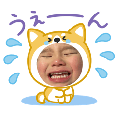 iamreo
