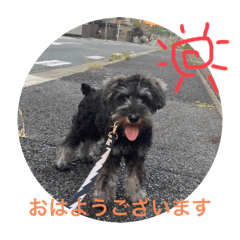 Mayu_20250320093432