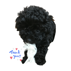 nobuya_20250319223859