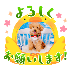 Yukina_20250320000346