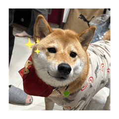 阿屁與歐疼1