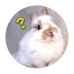 Riri's Rabbit Moko-chan Stamp
