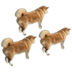 R_20250319221326