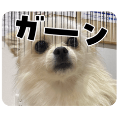akiko_20250319231932
