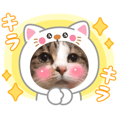 Kiyo_20250319232828