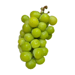 nana_20250319165219