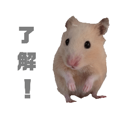 y_20250320101027