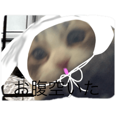 kurogoma_20250320101726