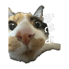 ki_20250320105704