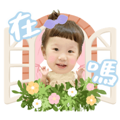 蛋寶妹的日常生活～