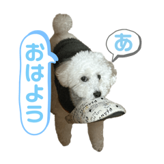 Stamp of my beloved dog 1