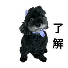 hi_20250320125704