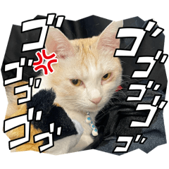 pon_20250320133251