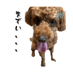 natsu_20250320133114