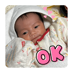 MISA_20250320135930