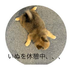 yuta_20250320140804