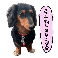 runchan's sticker