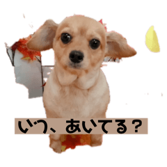 yuuki_20250320120504
