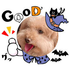 taka_20250320162207